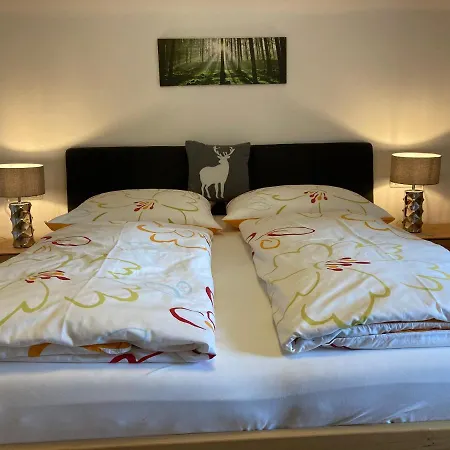 Apartment Stadler Obertraun Zewnętrze zdjęcie