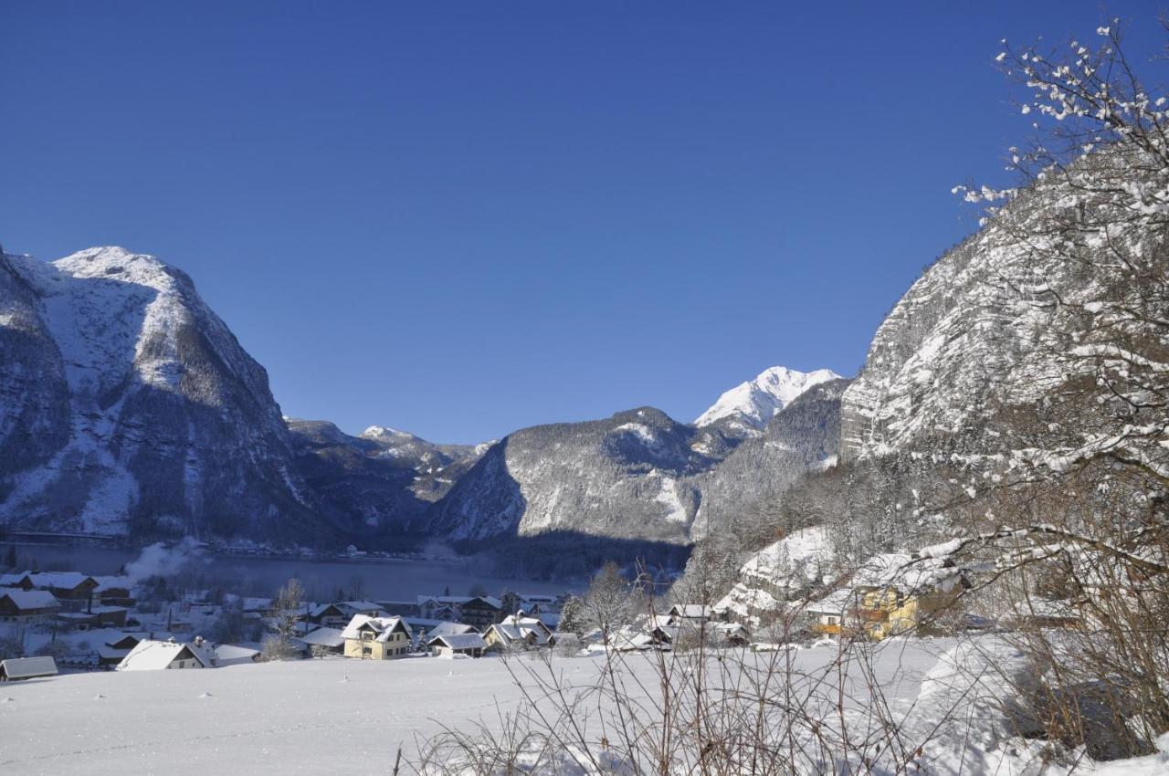 Appartement Stadler Obertraun